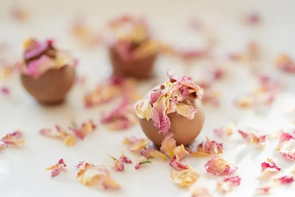 Bet9 Casino Android/iOS rakendus